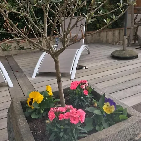 Les Trois Tilleuls 1 Homestay Loupiac (Gironde)
