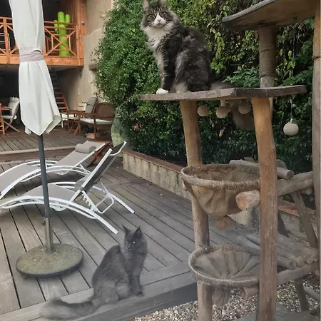 Les Trois Tilleuls 1 Quarto em Acomodações Particulares *